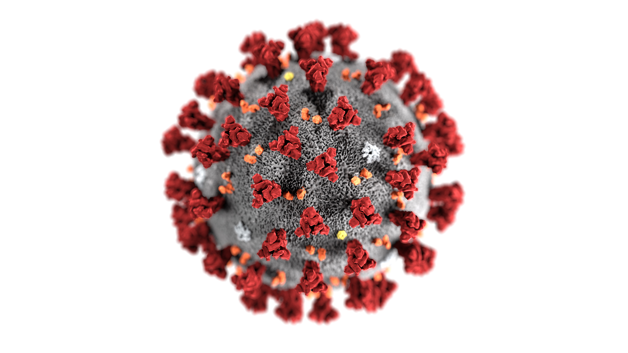 Coronavirus: Tanzania yatangiye guhabwa akato na bimwe mu bihugu bihana imbibi.