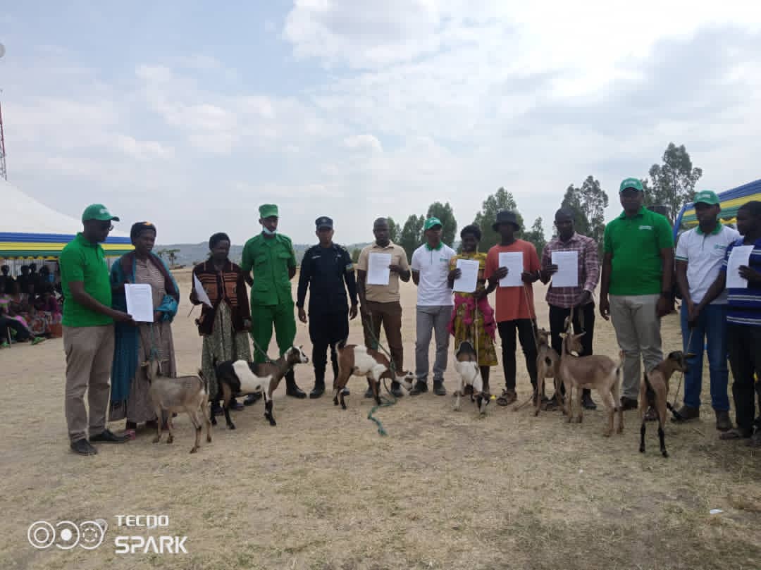 Ruhango-Kinazi: Muri Gahunda ya Green Amayaga imiryango irenga 300 yorojwe amatungo magufi
